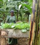 Grace Sebowa at her vegetable raised garden